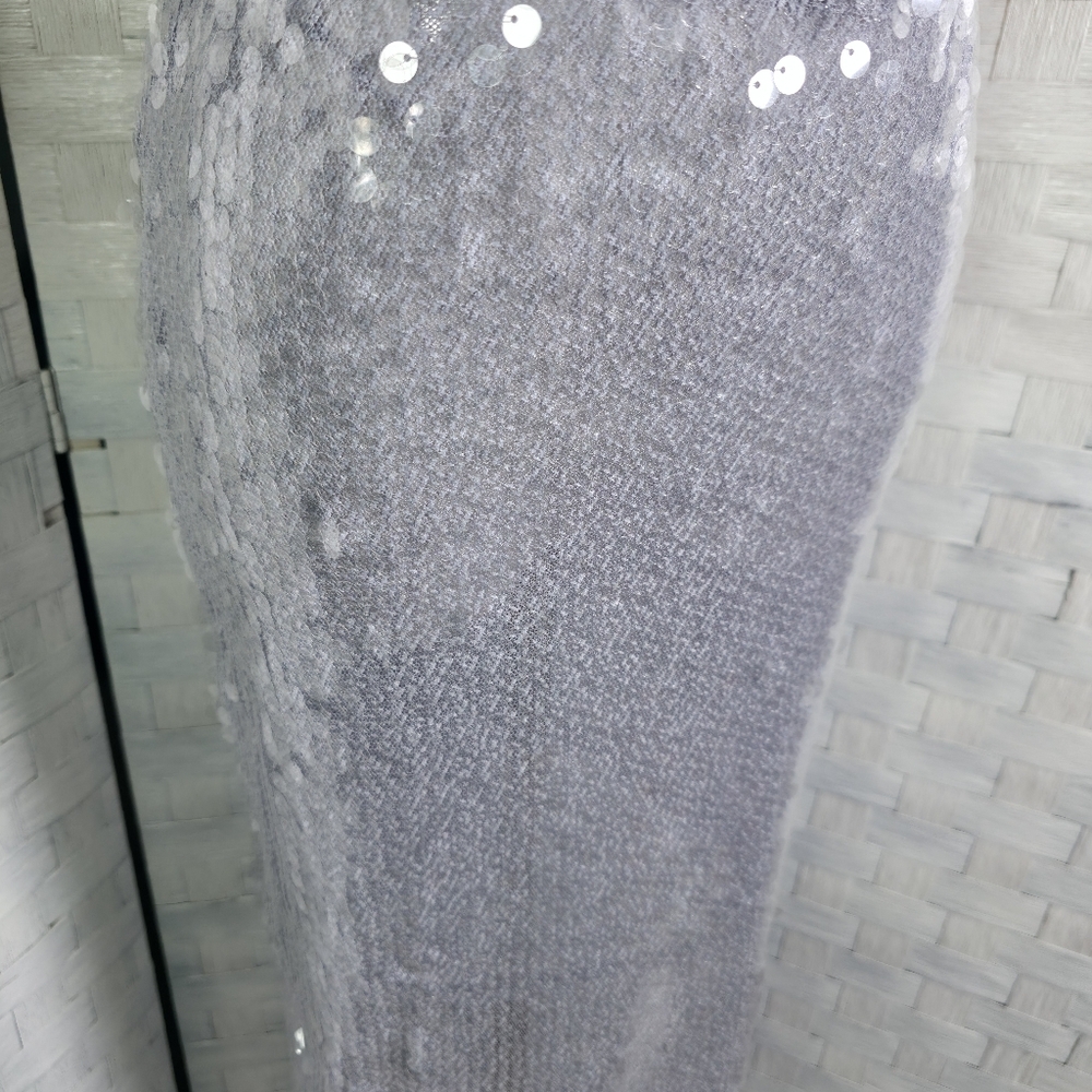Zara Silver Maxi Skirt - Picture 5 of 10